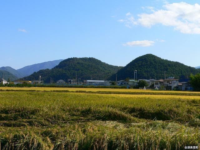 向羽黒山城跡遠景