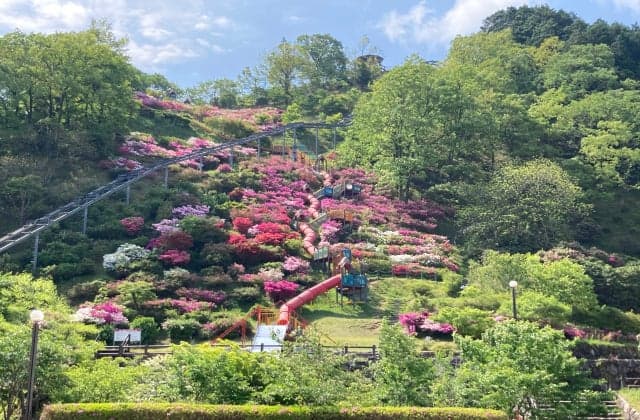 Takatoriyama Park Roller Slider and Azalea Flower