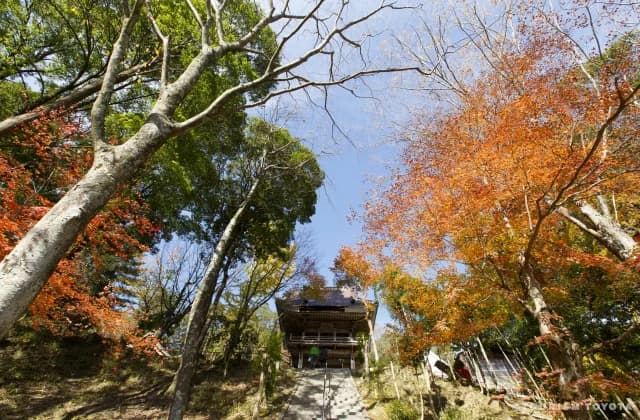 Senmi Yakushi-ji Temple