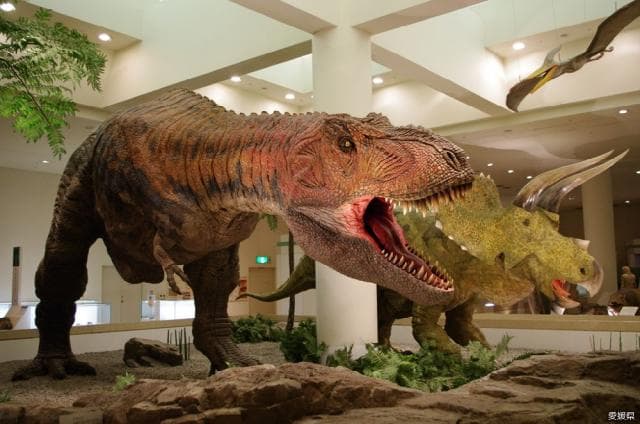 Ehime Prefectural Museum of Science