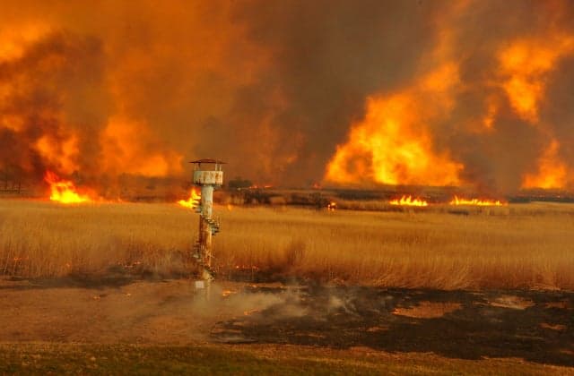 Reed grilling from Watarase Yusuichi