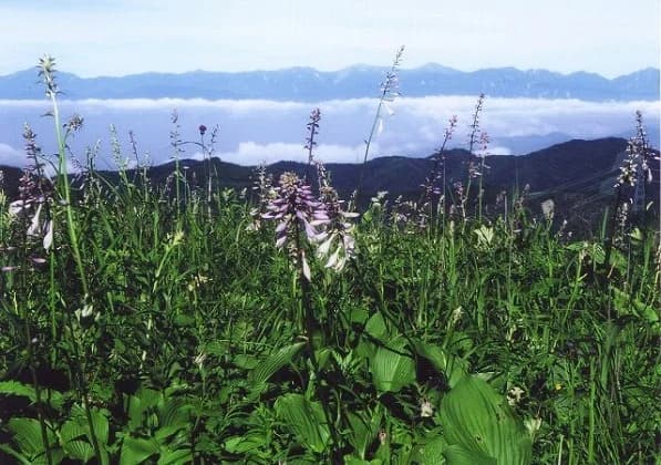 Yunosawa Pass
