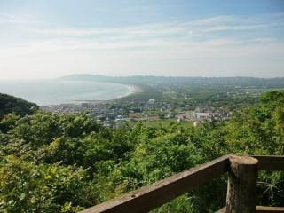 千葉県立館山野鳥の森