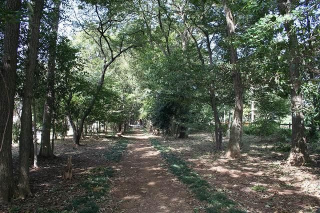 Chuo Green Tract of Land