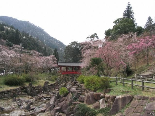 Mitsugi Hachimangu Shrine