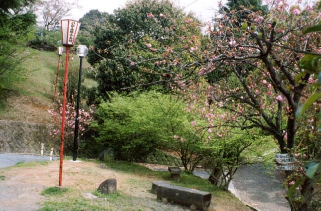 Jeongeonchu Park