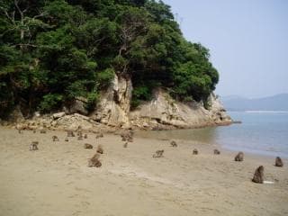 Koujima 1