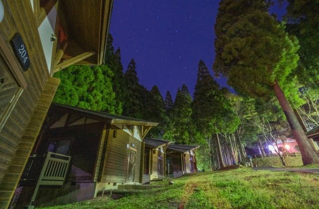 Forest Lodge Standard (Night View)