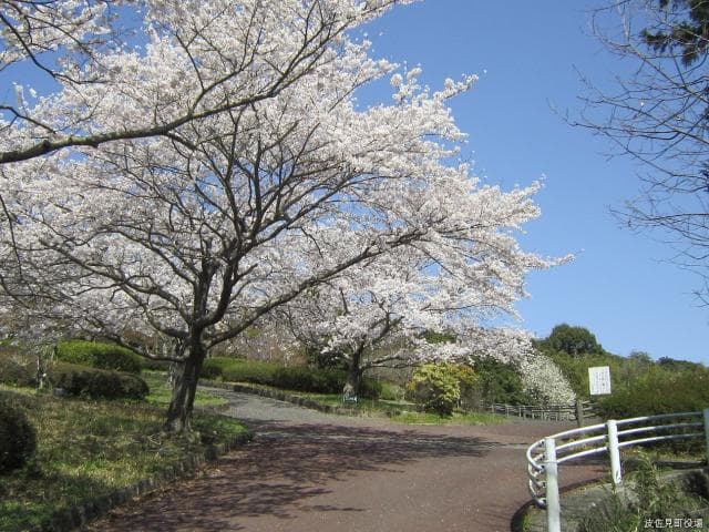 Kounosu Park