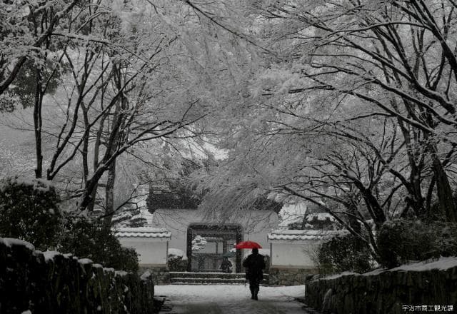 Snow-no-kotozaka