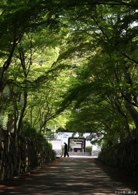 Kotozaka in fresh green