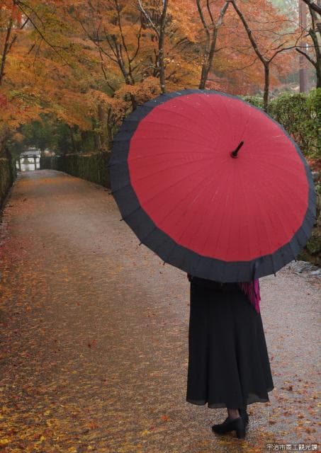 Waiters in the rain