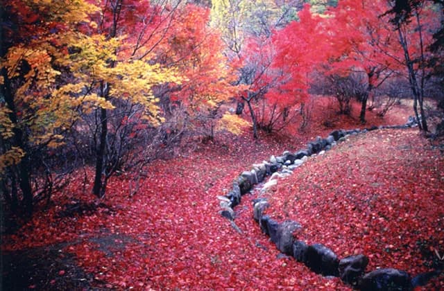 Takiyama Park