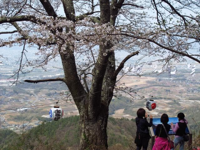 Near the top of the Senbonzakura Mountain Trail