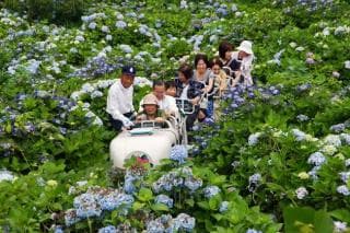 Nakano Hydrangea Garden Monorail