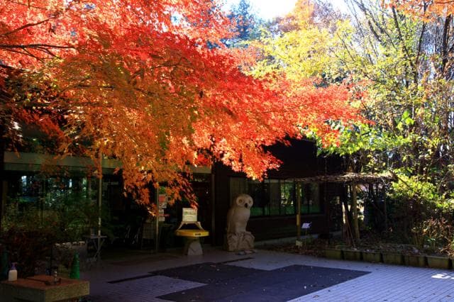 Ushiku Nature Observation Forest