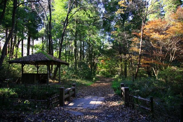 Ushiku Nature Observation Forest