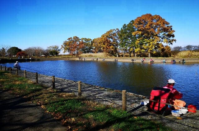 Gunma's Suigo (Autumn)
