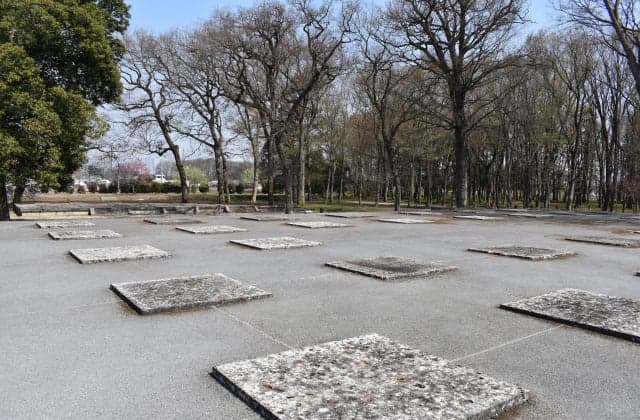 Shimotsuke Kokubunji Site