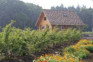 Log house in the park