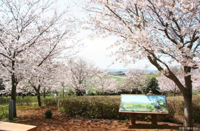 Shoboji Ancient Tomb's Park