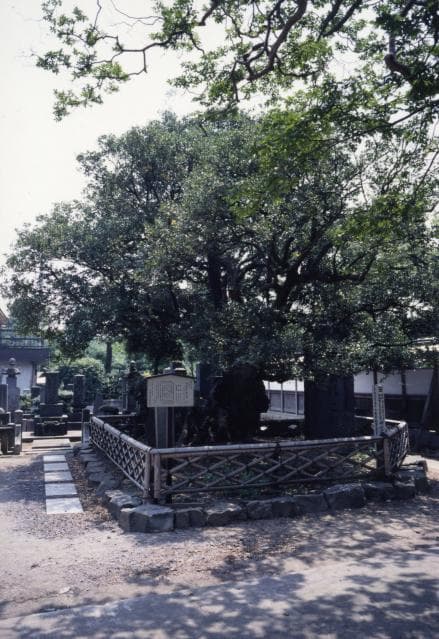 Hiiragi of Myora-Oteue