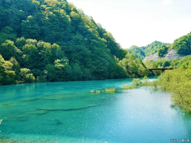 Tamagawa Dam Downstream Park
