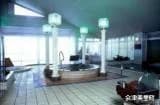 新鶴温泉健康センター
