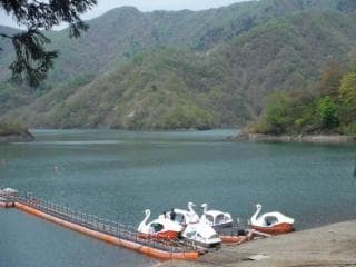 Futago Island Forest Park 3