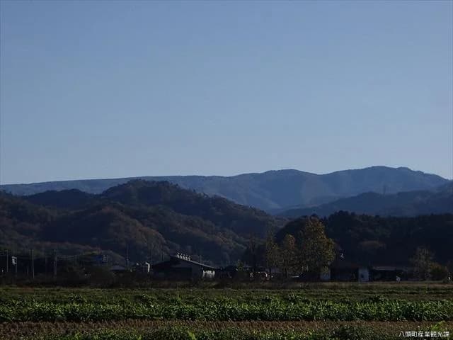 扇ノ山