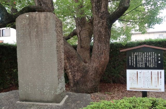 Oke narrow memorial monument