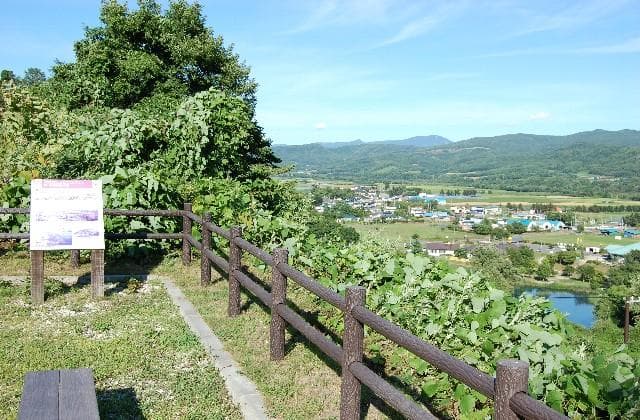 Niiyama Marsh Observation Park Summer
