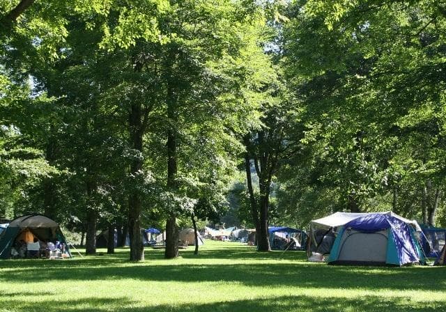 Shizuyama Camp No. 1 Campsite