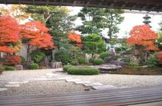 紅葉　菊屋家住宅庭園