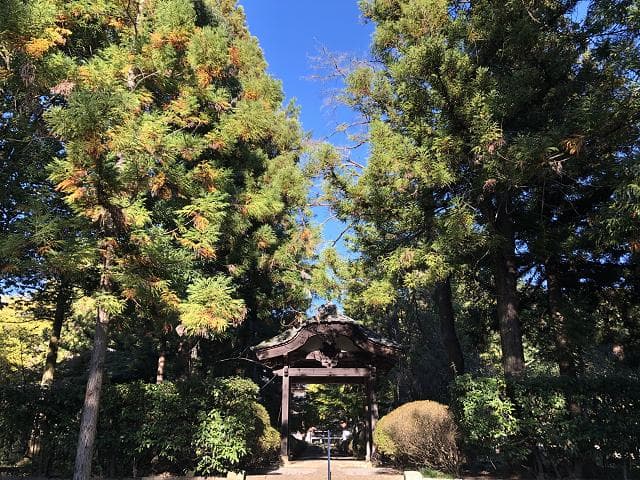 Oizumi-ji Temple
