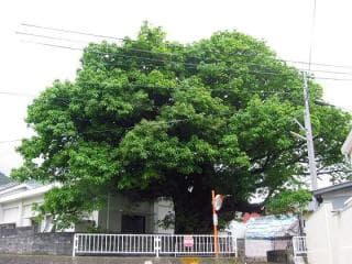 Let's have a hot spring