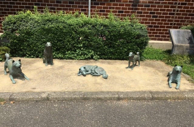 A dog house in Nakano