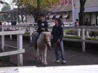 Fureai Animal Plaza Pony Horseback