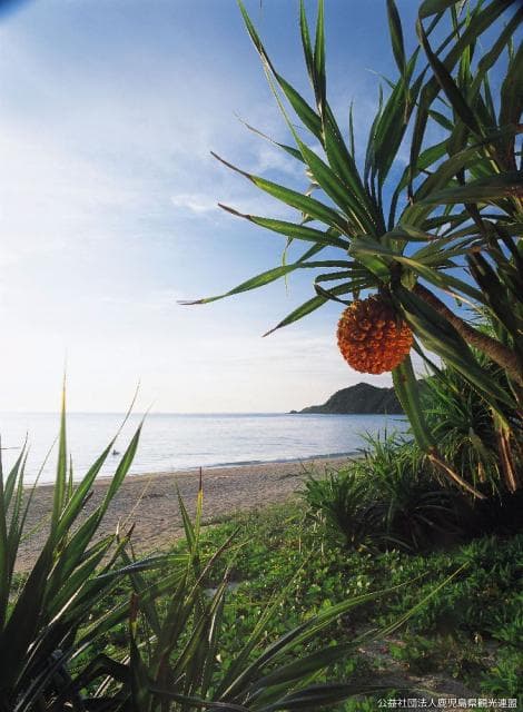 Adan and Kuninao Coast