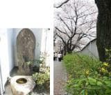 Monument of Yamabuki no Sato