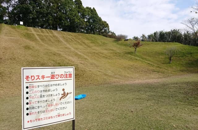 清水台のそりスキー