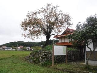 Sanctuary Sukerei