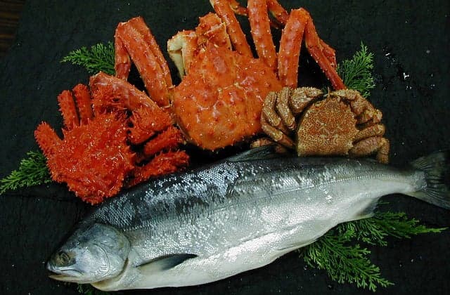 釧路港の海産物