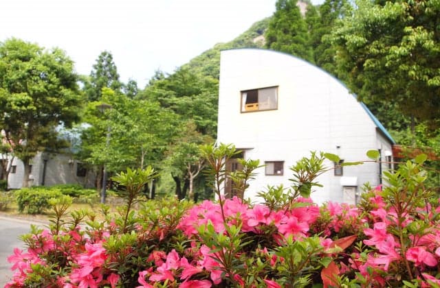 Green Pal Hyugajinkyo