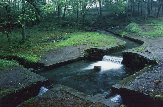 Yatsugatake South Footland Plateau Springs
