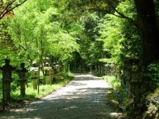 Mitsugi Hachimangu Shrine