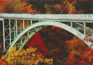 Autumn leaves of Kunimi