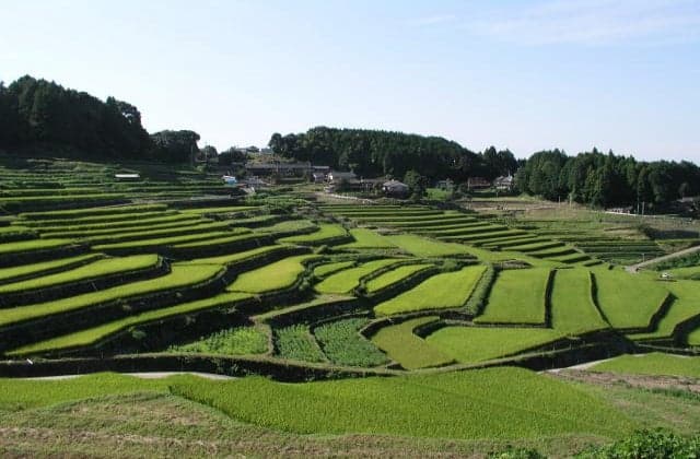 Oniki's Tanada (100 selections of Tanada in Japan)
