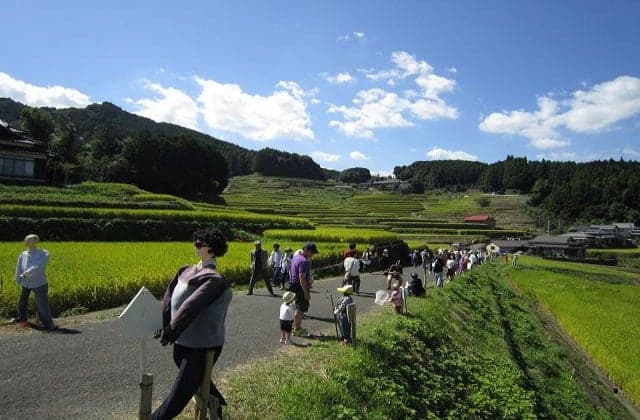 Oniki Tanada Festival