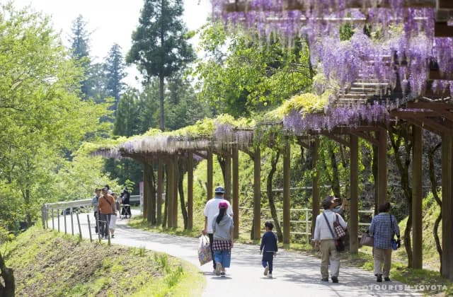 Fuji Corridor